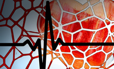 hypertension2_vignette
